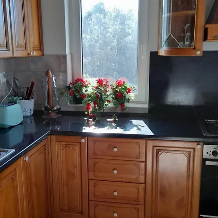 Jelena Appartement *